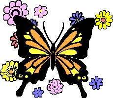 butterfly3.jpg
